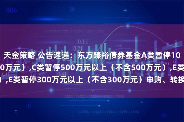 天金策略 公告速递：东方臻裕债券基金A类暂停100万元以上（不含100万元）,C类暂停500万元以上（不含500万元）,E类暂停300万元以上（不含300万元）申购、转换转入、定期定额投资