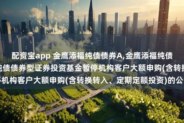 配资宝app 金鹰添福纯债债券A,金鹰添福纯债债券C: 关于金鹰添福纯债债券型证券投资基金暂停机构客户大额申购(含转换转入、定期定额投资)的公告
