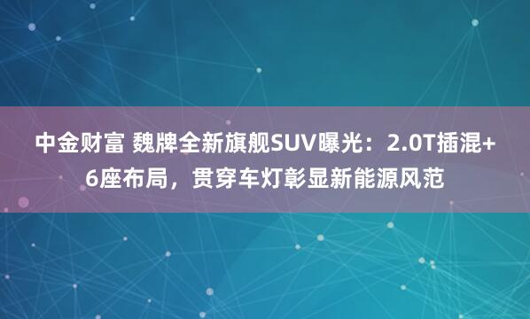 中金财富 魏牌全新旗舰SUV曝光：2.0T插混+6座布局，贯穿车灯彰显新能源风范